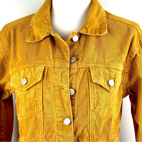 Pac Sun Los Angeles Gold Yellow Corduroy Cropped Long Sleeve Jacket size X-Small - Picture 3 of 15